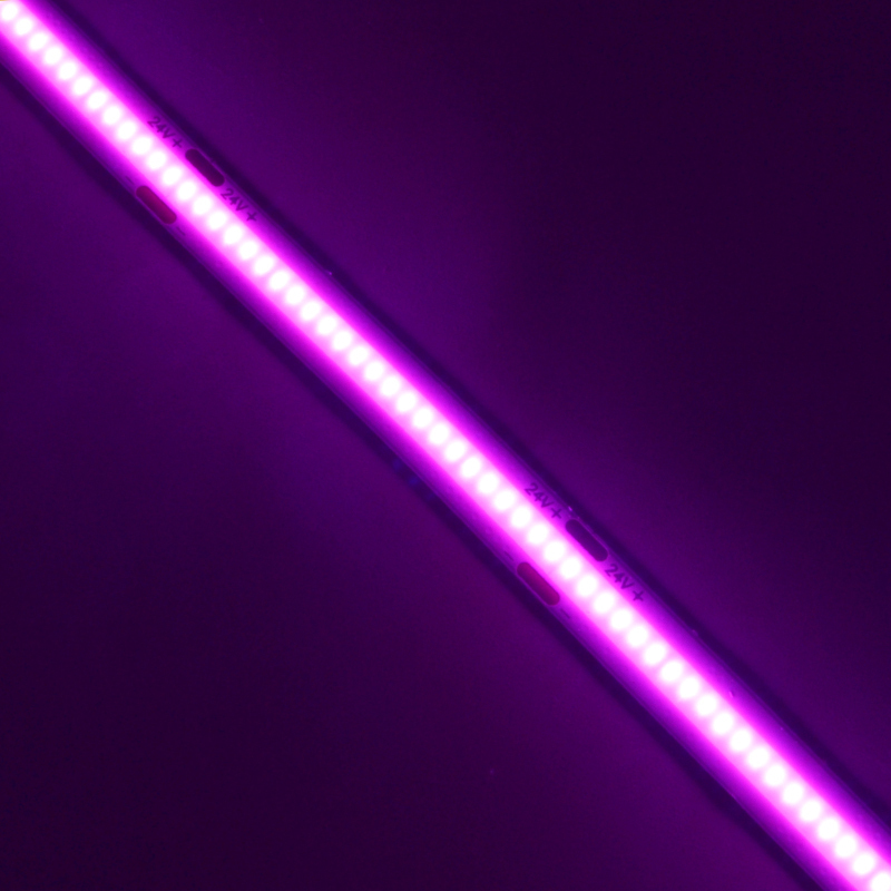 Purple Cob Led Strip 8MM DC24V IP20 CRI90 3 years Warranty