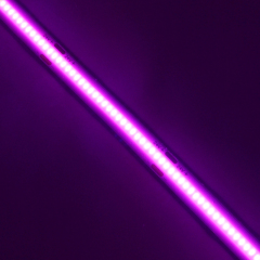 Purple Cob Led Strip 8MM DC24V IP20 CRI90 3 years Warranty