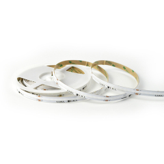 RGBIC 10mm Cob Led Strip 5m/roll  DC24V IP20 720led/m 21W 3 years Warranty