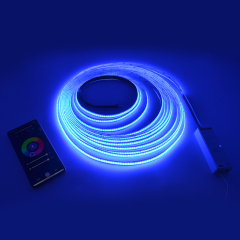 RGBW 12mm Cob Led Strip 5m/roll  DC24V IP20 784led/m 19W 3 years Warranty