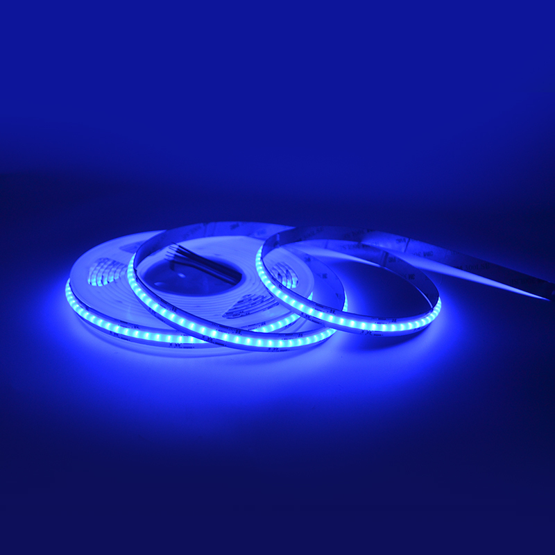 RGBCW 12mm Cob Led Strip 5m/roll  DC24V IP20 840led/m 21W 3 years Warranty