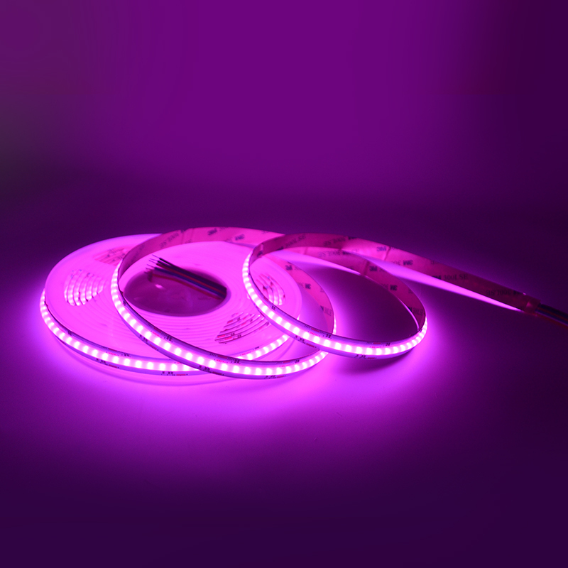 RGBCW 12mm Cob Led Strip 5m/roll  DC24V IP20 840led/m 21W 3 years Warranty