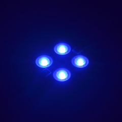 3838 Blue Led Module 0.96W DC12V IP65 160°Beam Angle 4 Warranty
