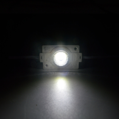 4530 6000k Led Module 2W DC12V IP65 10°*45°Beam Angle 5 Warranty