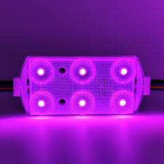 High Quality Q6 RGB IP68 Led Module 7 Years warranty 170LM/W CRI>70 Low Voltage Drop 12V/24V custom wire length