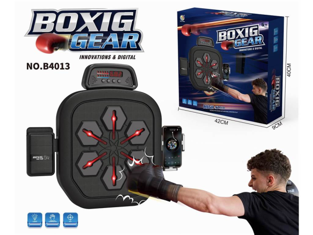 objetivo de entrenamiento de boxeo