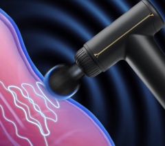 Fascia Gun massager SE