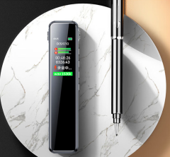 Lenovo Voice Recorder B610 8G-The product is a free gift after purchasing any product and cannot be purchased separately.