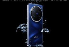 vivo X200 Pro 12GB+256GB