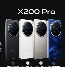 vivo X200 Pro 12GB+256GB