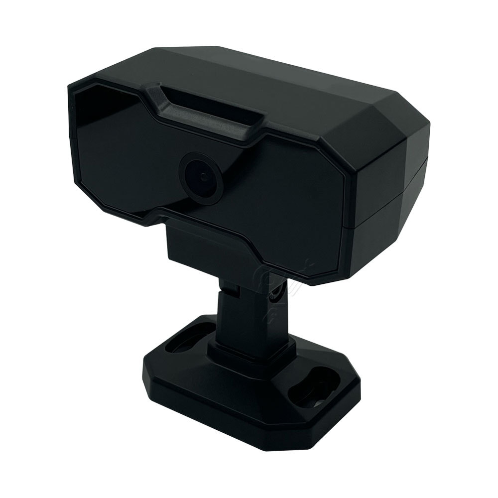 DSM camera