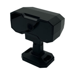 DSM camera