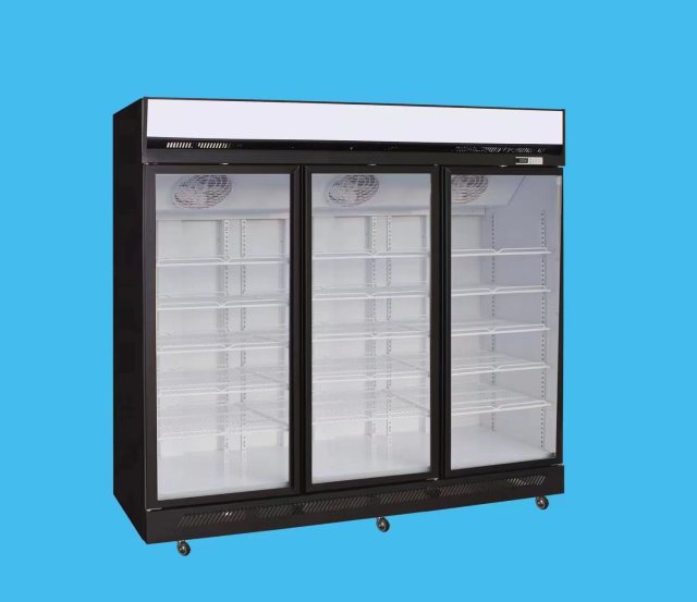 Display Vertical Freezer-Air cooling 3 Doors