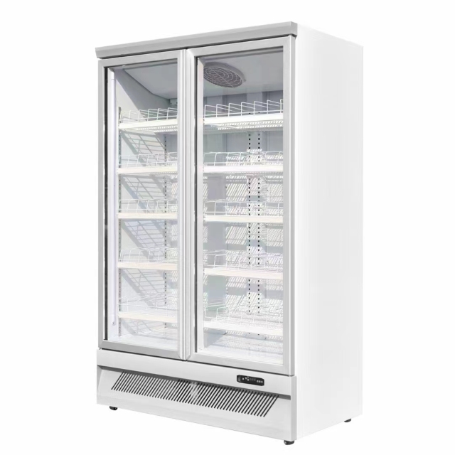 Display Vertical Freezer-Air cooling 2 Doors