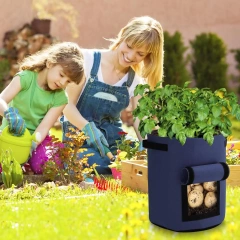 mua sỉ giá rẻ thùng trồng cây trong vườn 10 gallon tùy chỉnh túi trồng cây bằng vải không dệt dày có tay cầm và cửa sổ thu hoạch