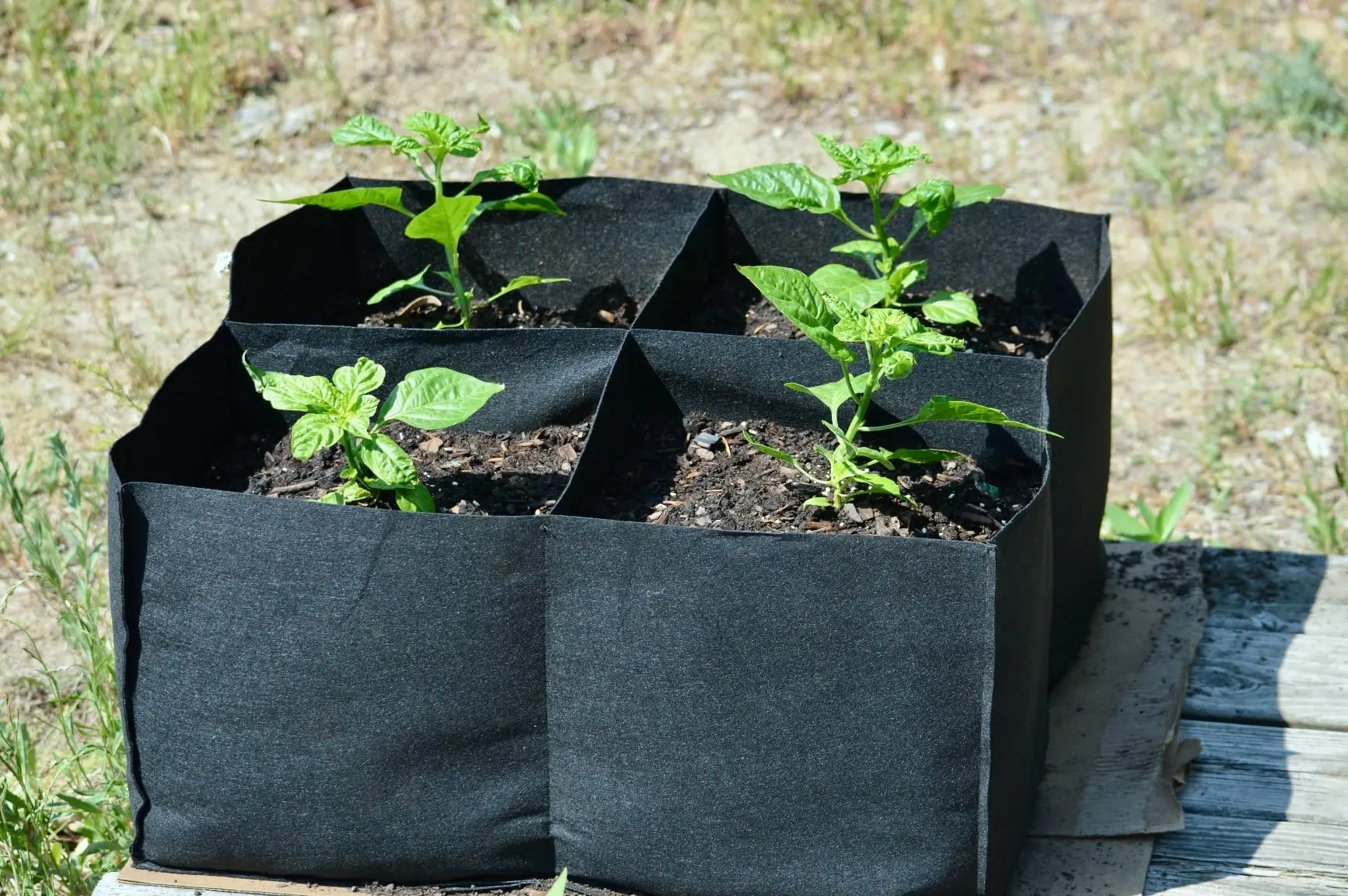 Fabric Breathable Grids Plant Grow Bags Raised Garden Beds Outdoor for Vegetables Flowers Square Felt Growing Container Bags