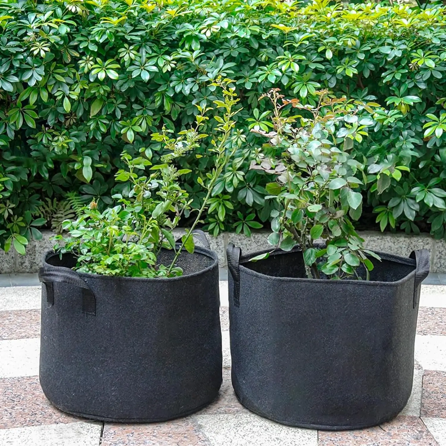 2024 new product multicolor mixed size outdoor durable handles fabric plant garden pots planters potato flower grow bags