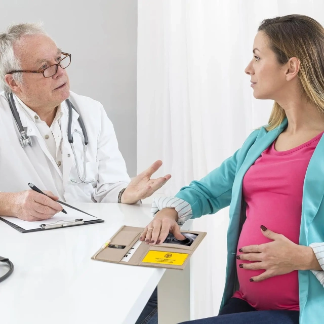 غطاء Mutterpass مصنوع من اللباد بلون قوس قزح بيج مخصص مع سلسلة مفاتيح