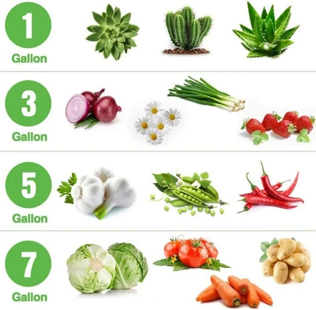 10 gallon reusable durable lightweight felt fabric plant grow bag with large capacity for potato tomato onion flower vegetable