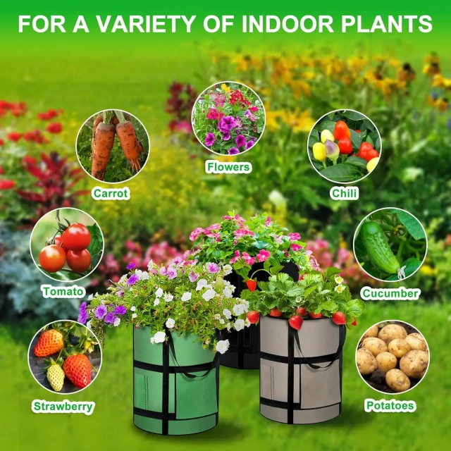 achat en gros pas cher tissu non tissé épaissi fenêtre de récolte vert clair récipient de stockage de légumes sac de culture de jardin pot de plante