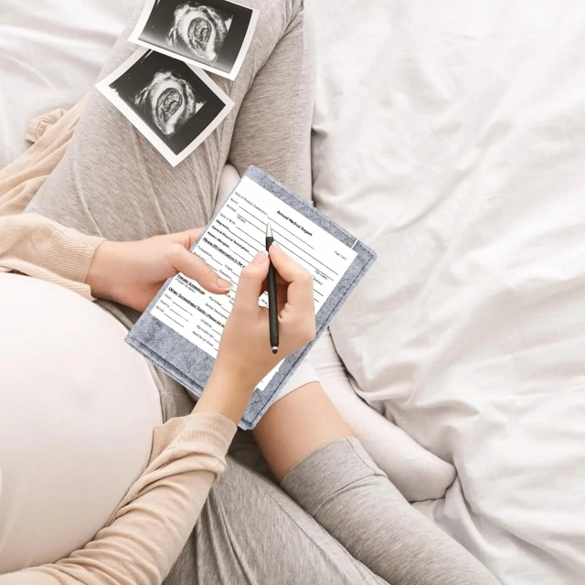 حقيبة حمل مخصصة من اللباد الرمادي بألوان قوس قزح للأم الحامل