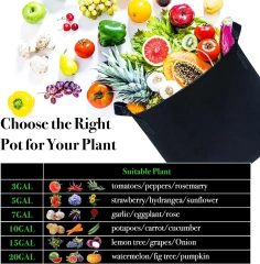 2024 nouveau produit multicolore taille mixte extérieur poignées durables tissu plantes pots de jardin jardinières pommes de terre fleurs sacs de culture