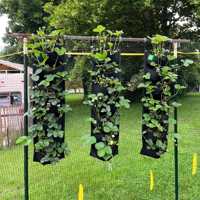 vente en gros de différentes tailles polyvalentes 7 poches extérieures verticales suspendues au mur jardinière verte conteneurs de plantes supports de jardin