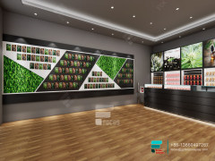 Tobacco Store Design Tall Glass Cabinet Smoke Shop Fixtures