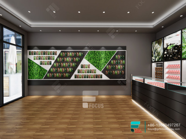 Tobacco Store Design Tall Glass Cabinet Smoke Shop Fixtures