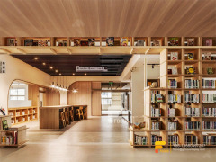 Tree Book Shelf Custom Book Shelving Book Shelve For Sale