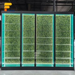 Custom White Kiosk Glass Display Cabinet with Green Lighting