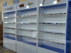 Blue End Pharmacy Gondola and Wall Shelf Fixture Set