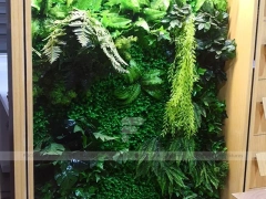 Natural Wood Phone Consultation Counter