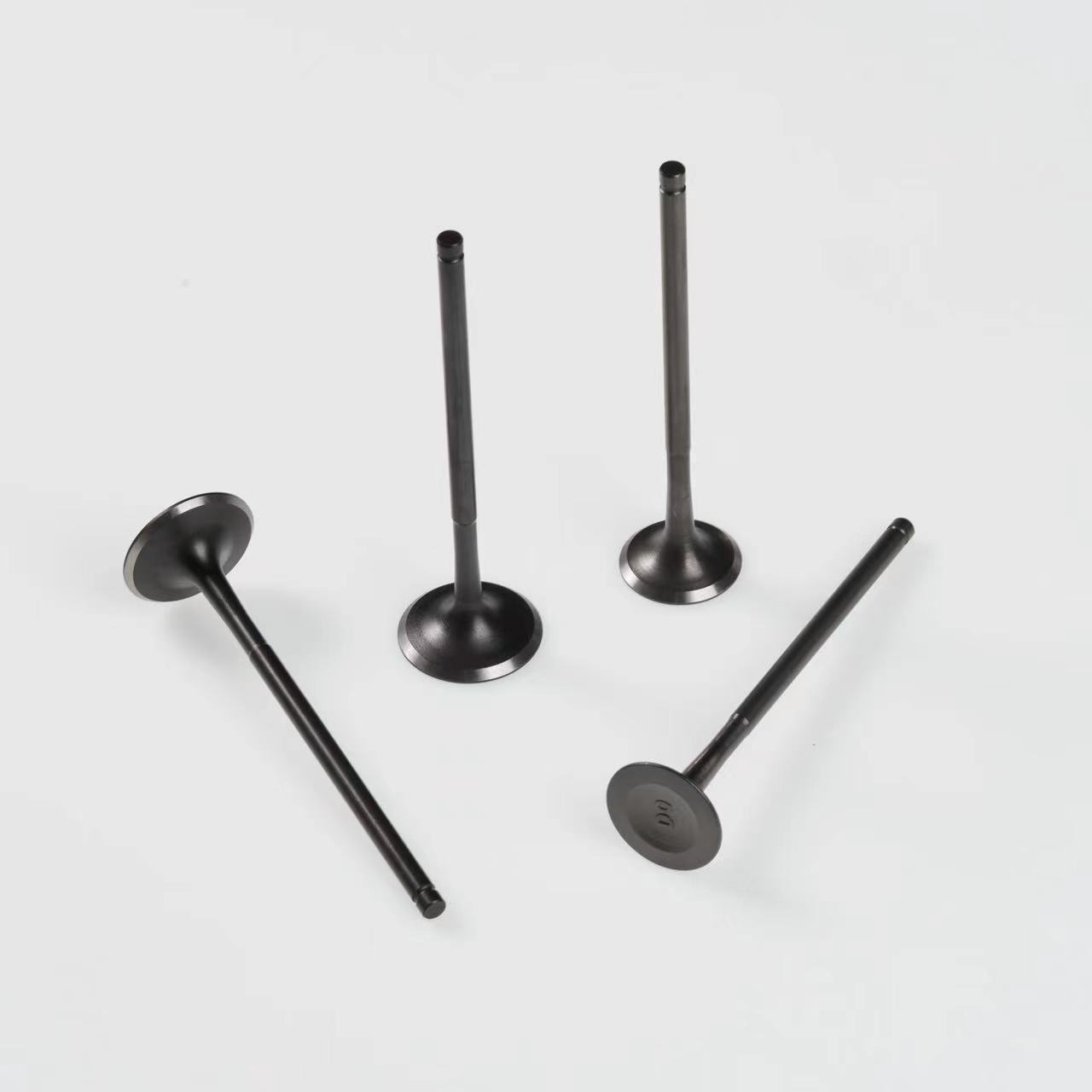 kit Válvulas Para ITALIKA VX250E04050089 E04050088