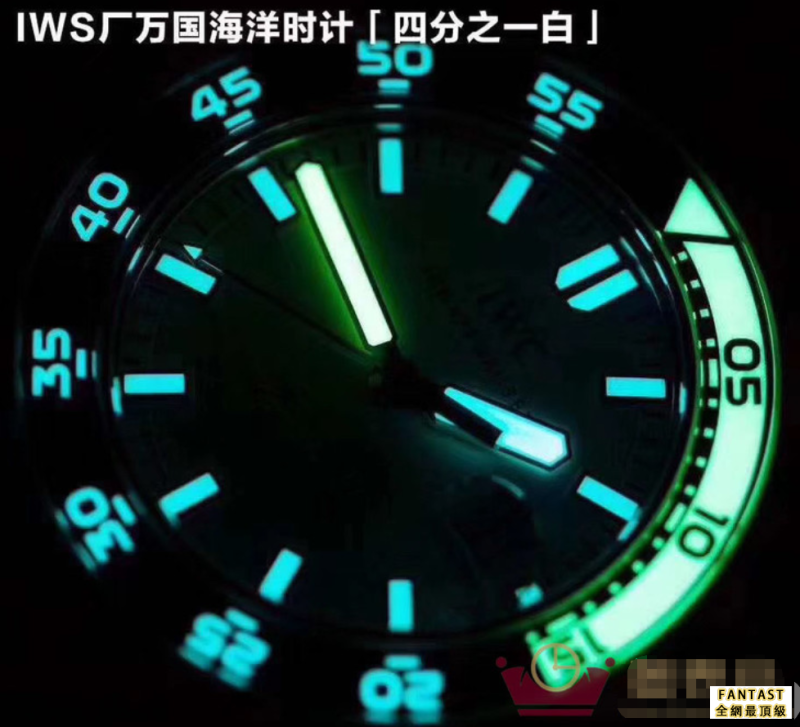 （市場最真版本）IWS廠 萬國 海洋系列IW356811 機械男表