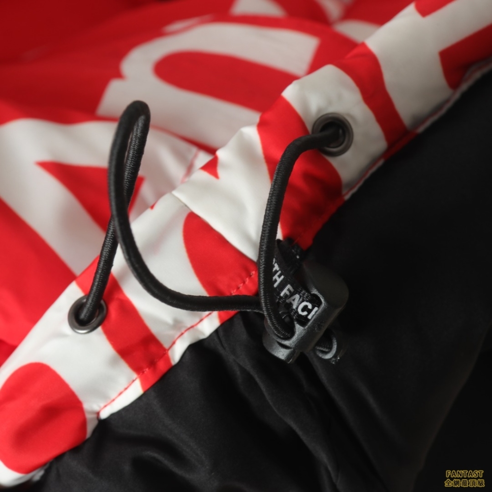 SUPREME / The north face北面 聯名不擇手段彈幕羽絨服