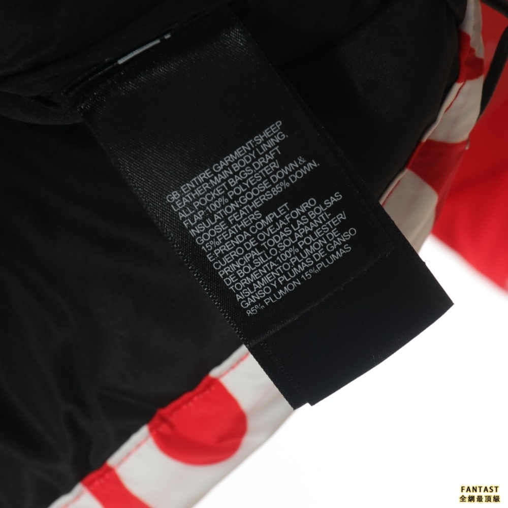 SUPREME / The north face北面 聯名不擇手段彈幕羽絨服