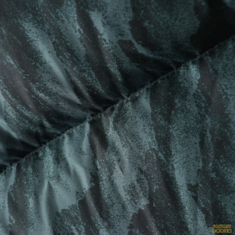 The North Face北面 1996限量黑綠斑馬羽絨服