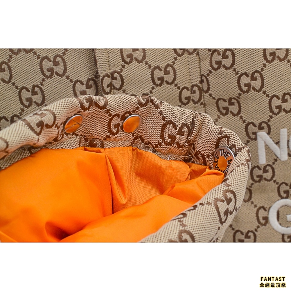 Gucci X The North Face 北面聯名古馳老花logo羽絨服