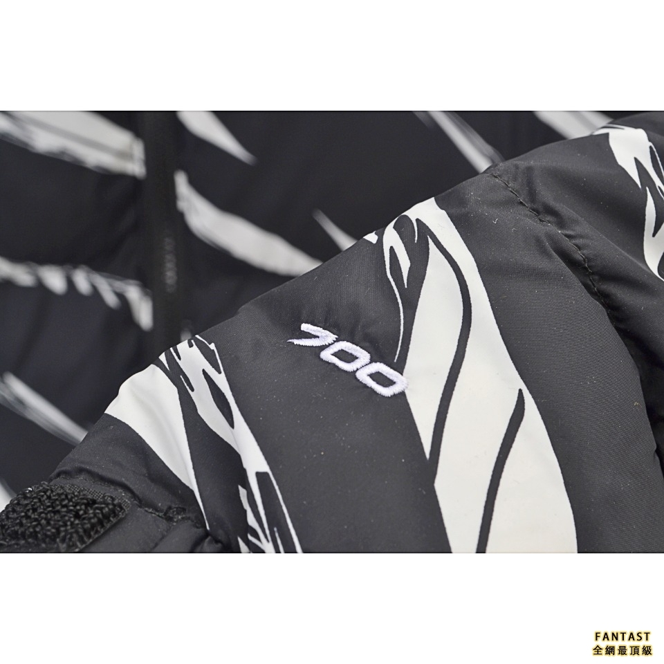 The North Face Down Parka 北面亞洲限定斑馬紋羽絨服