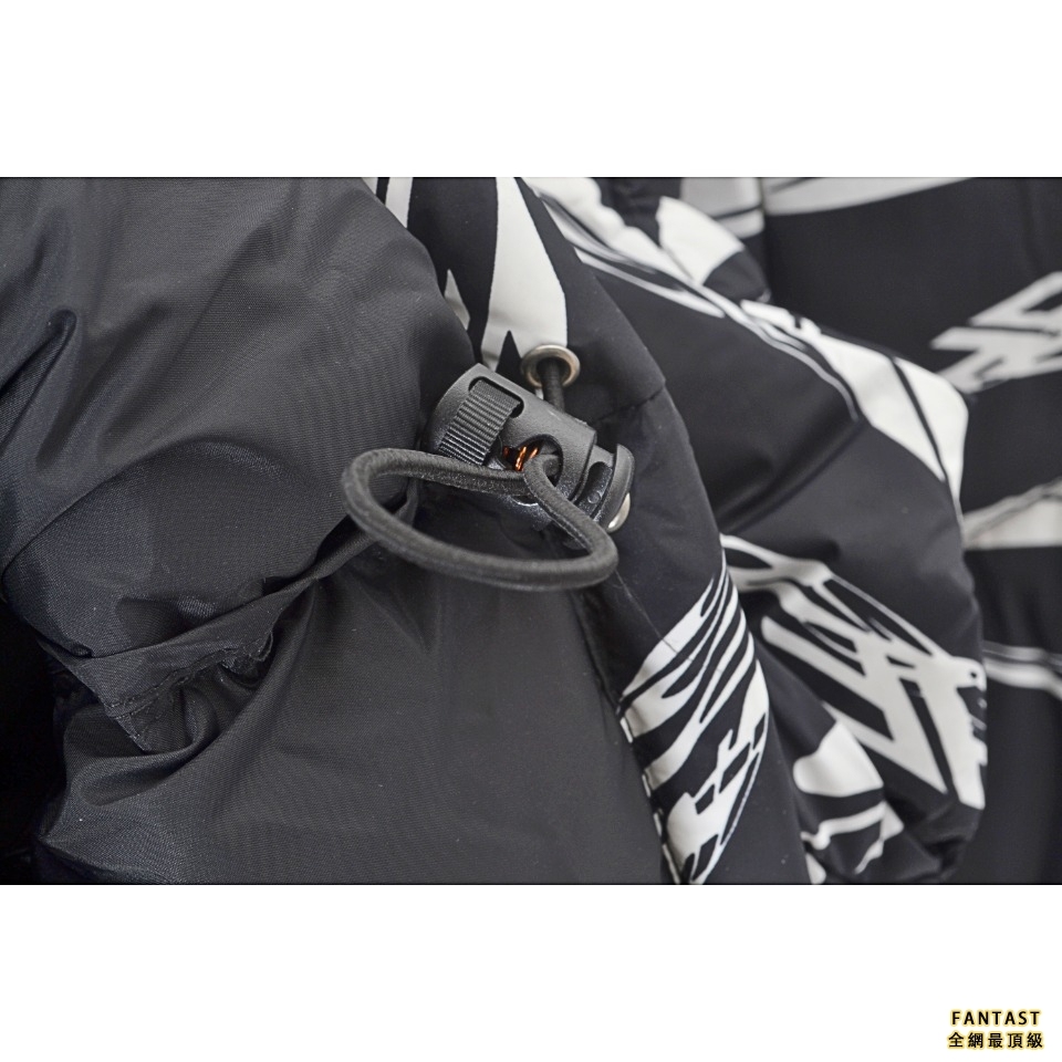 The North Face Down Parka 北面亞洲限定斑馬紋羽絨服