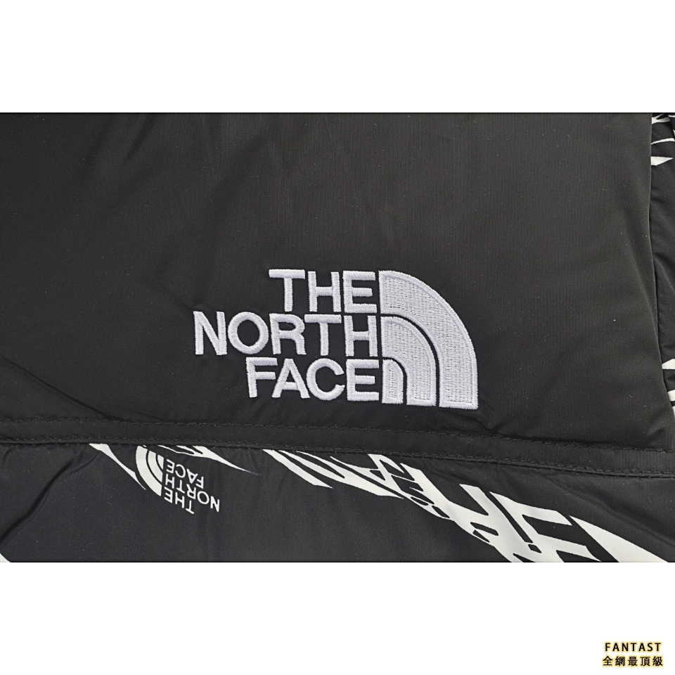 The North Face Down Parka 北面亞洲限定斑馬紋羽絨服