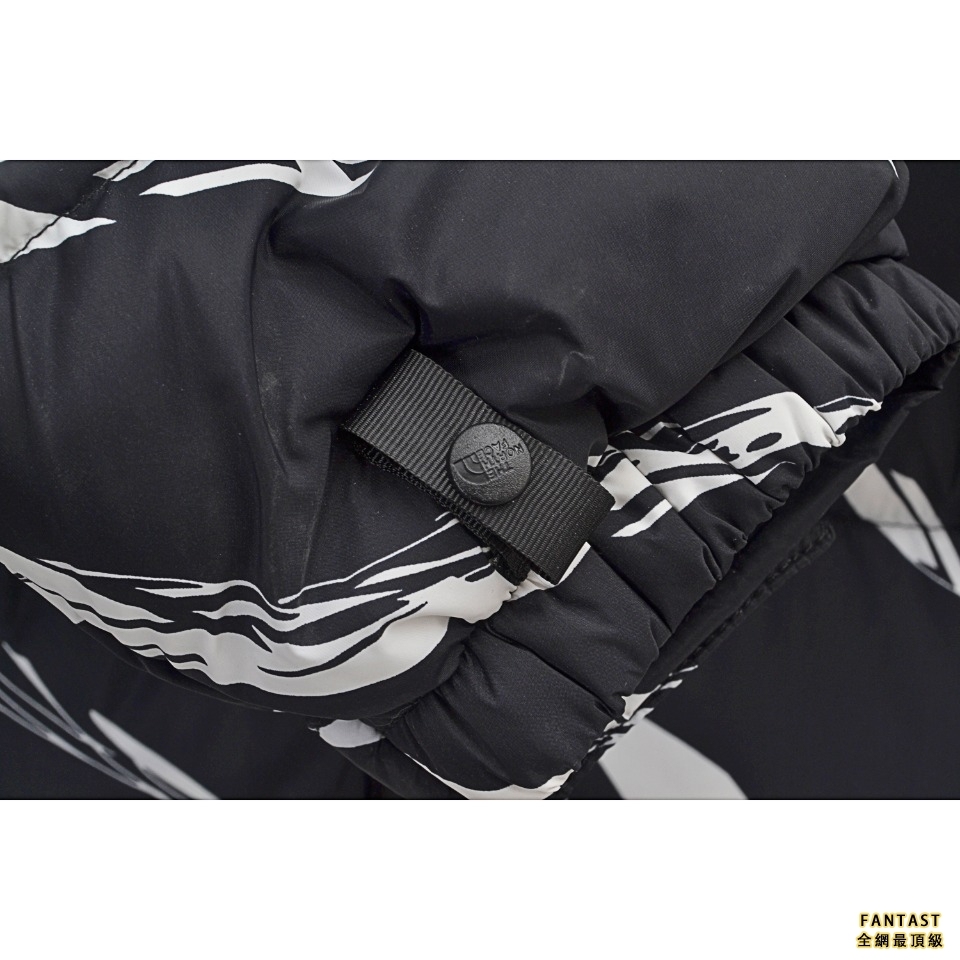 The North Face Down Parka 北面亞洲限定斑馬紋羽絨服