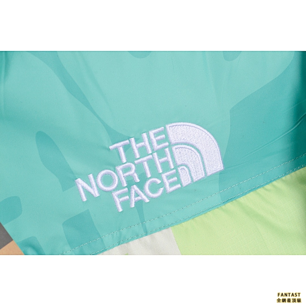 The North Face X KAWS聯名款1996美版羽絨服