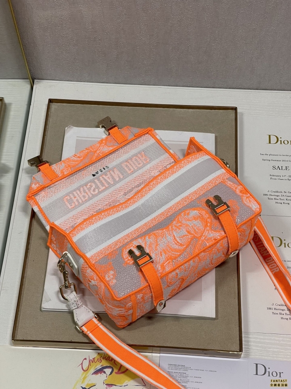 Dior新款透明荧光橙虎邮差包