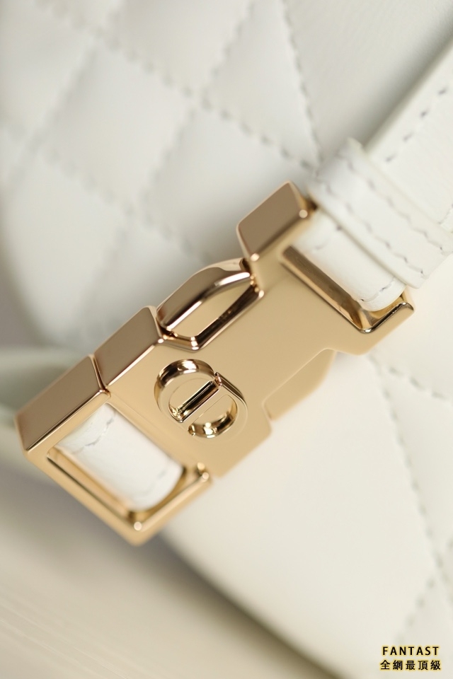 DIOR VIBE  中號餃子包 