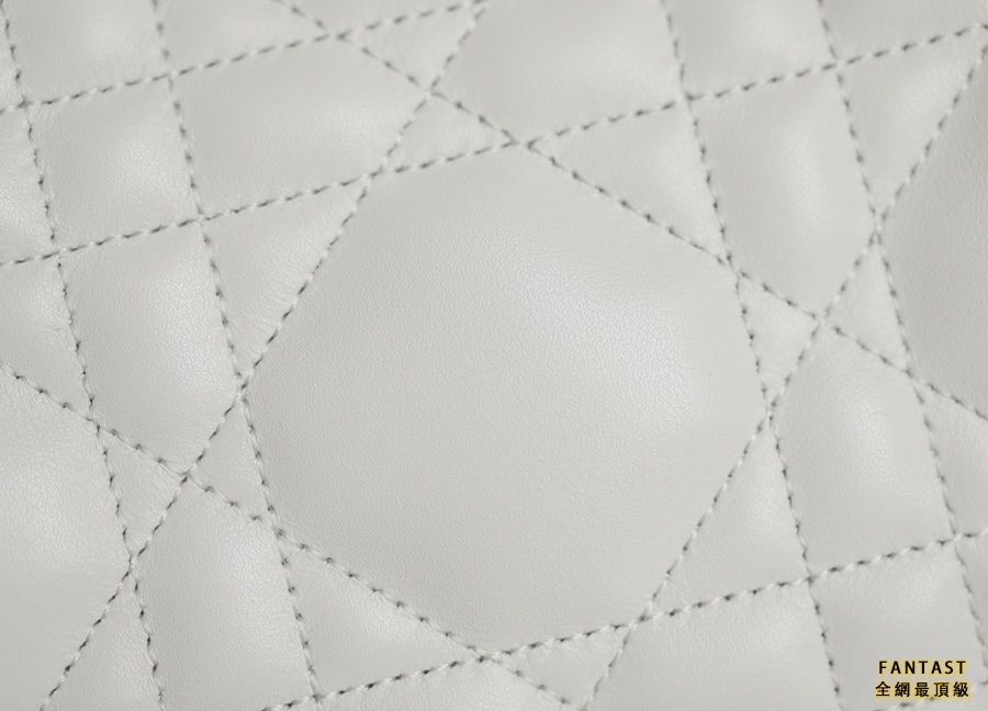 DIOR VIBE  中號餃子包 