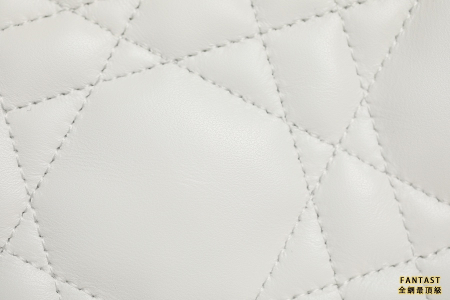 DIOR VIBE  中號餃子包 