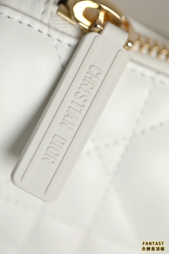 DIOR VIBE  中號餃子包 