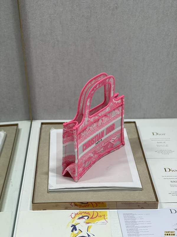 Dior  透明熒光粉虎 Mini Book tote